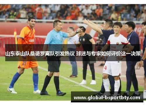 山东泰山队桑德罗离队引发热议 球迷与专家如何评价这一决策