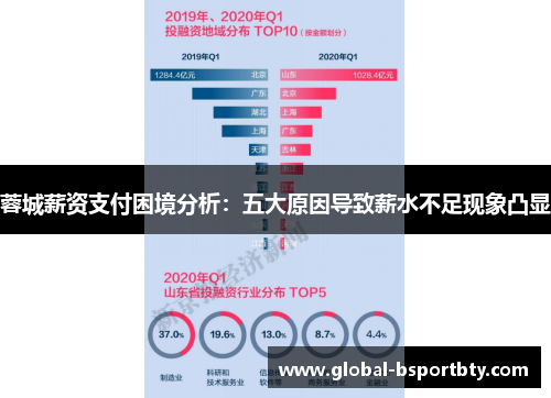 蓉城薪资支付困境分析：五大原因导致薪水不足现象凸显
